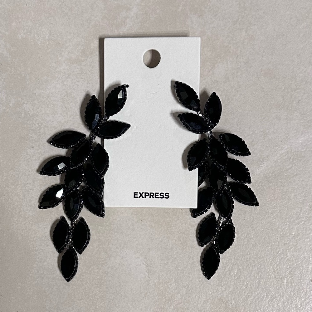Express Midnight Black Leaf Earrings